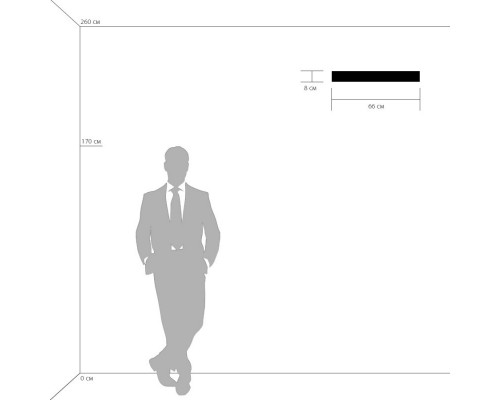 Купить Бра Lightstar 810528| VIVID-LIGHT.RU