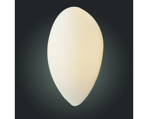 Купить Бра ST-Luce SL507.551.01| VIVID-LIGHT.RU