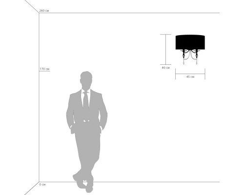 Сделать заказ Бра Lightstar 725626| VIVID-LIGHT.RU