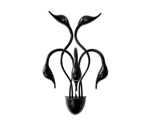 Купить Бра Lightstar 751657| VIVID-LIGHT.RU