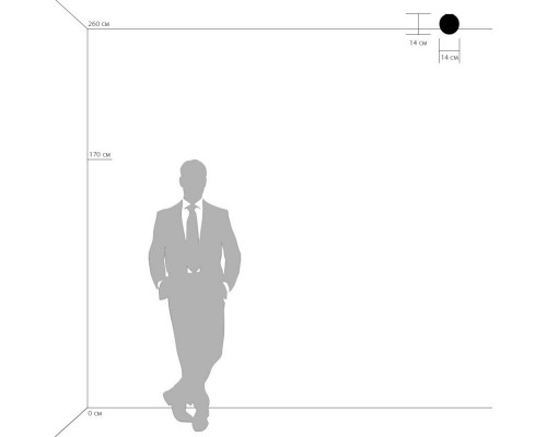 Заказать Бра 803010 Lightstar| VIVID-LIGHT.RU