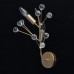 Заказать Бра MW-Light 280021902| VIVID-LIGHT.RU