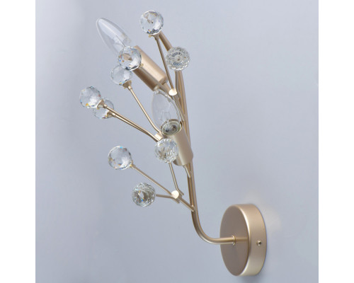 Заказать Бра MW-Light 280021902| VIVID-LIGHT.RU