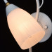 Оформить заказ Бра MW-Light 334023301| VIVID-LIGHT.RU