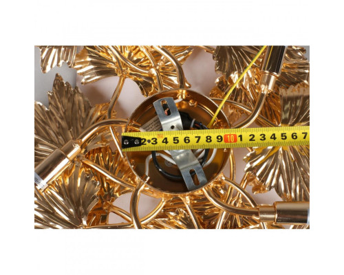 Заказать Бра Omnilux OML-85501-05| VIVID-LIGHT.RU