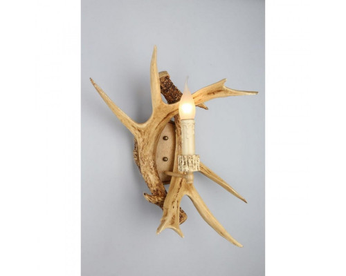 Сделать заказ Бра OML-52001-01 Omnilux| VIVID-LIGHT.RU