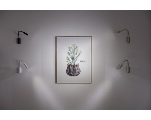 Сделать заказ Бра LOFT IT 10009SN| VIVID-LIGHT.RU