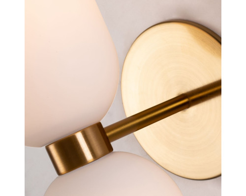 Заказать Бра Favourite 2876-1W| VIVID-LIGHT.RU