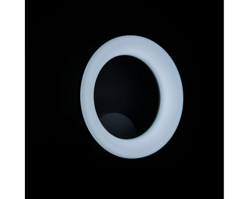 Оформить заказ Бра Citilux CL225B310| VIVID-LIGHT.RU