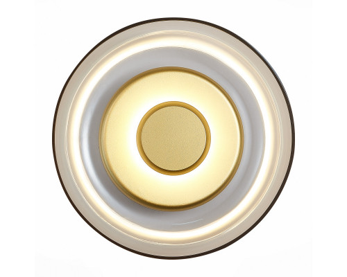 Оформить заказ Бра ST-Luce SL6002.201.01| VIVID-LIGHT.RU