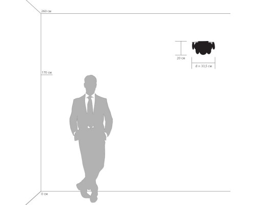 Купить Бра Lightstar 797624| VIVID-LIGHT.RU