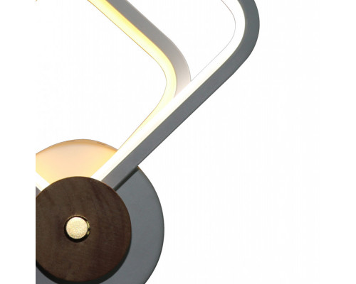 Оформить заказ Бра Natali Kovaltseva LED LAMPS 81143/1W| VIVID-LIGHT.RU