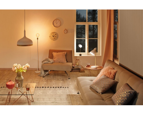 Купить Настольная лампа Paulmann 79623| VIVID-LIGHT.RU