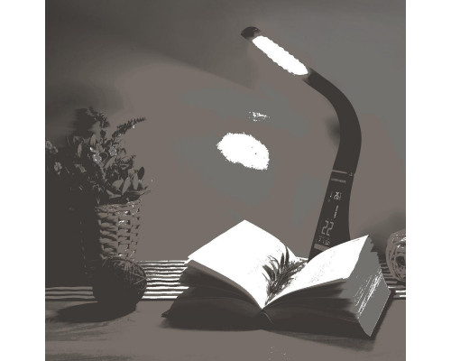 Сделать заказ Настольная лампа Elektrostandard TL90220 Elara черный| VIVID-LIGHT.RU