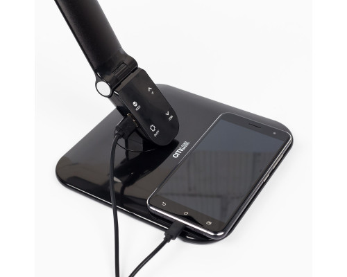 Оформить заказ Настольная лампа Citilux CL803022| VIVID-LIGHT.RU