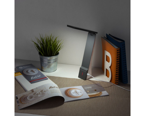 Заказать Настольная лампа Elektrostandard Desk белый/серый (TL90450)| VIVID-LIGHT.RU