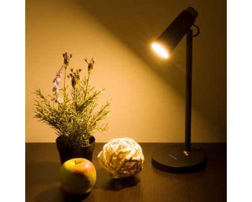 Купить Настольная лампа Elektrostandard Joel черный/золото (TL70190)| VIVID-LIGHT.RU