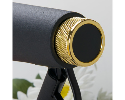 Купить Настольная лампа Elektrostandard Joel черный/золото (TL70190)| VIVID-LIGHT.RU