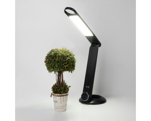 Сделать заказ Настольная лампа Eurosvet 80428/1 черный| VIVID-LIGHT.RU