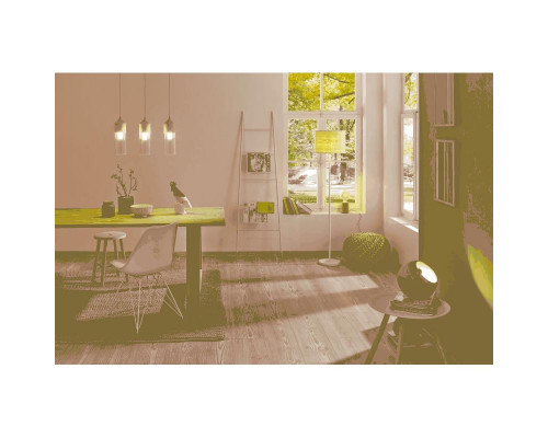 Сделать заказ Настольная лампа Paulmann 79621| VIVID-LIGHT.RU