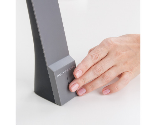 Заказать Настольная лампа Elektrostandard Desk черный/серый (TL90450)| VIVID-LIGHT.RU