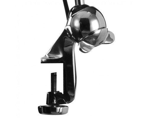 Оформить заказ Настольная лампа Lightstar 765924| VIVID-LIGHT.RU