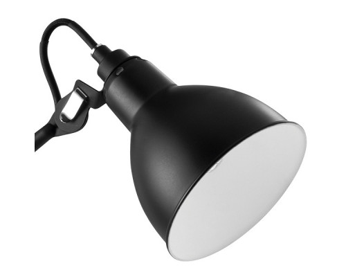 Сделать заказ Настольная лампа Lightstar 765917| VIVID-LIGHT.RU