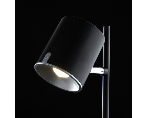 Сделать заказ Настольная лампа DeMarkt 408032401| VIVID-LIGHT.RU