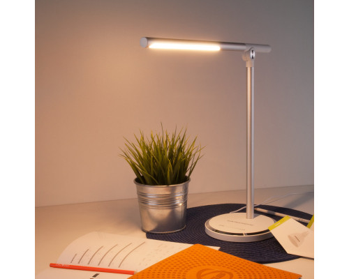 Сделать заказ Настольная лампа Elektrostandard Vara серебро (TL70990)| VIVID-LIGHT.RU