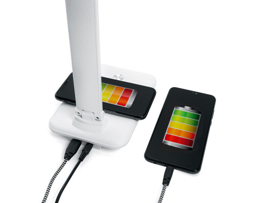 Оформить заказ Настольная лампа Feron 41452| VIVID-LIGHT.RU