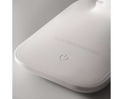 Купить Настольная лампа Elektrostandard Pele белый (TL80960)| VIVID-LIGHT.RU