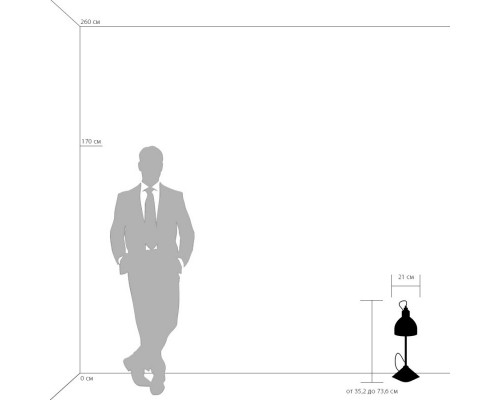 Купить Настольная лампа Lightstar 765916| VIVID-LIGHT.RU