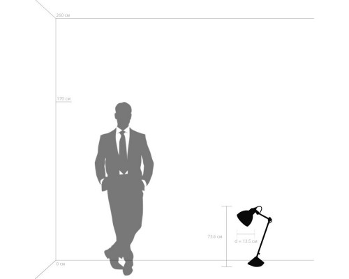 Оформить заказ Настольная лампа Lightstar 865917| VIVID-LIGHT.RU