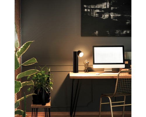 Купить Настольная лампа Eurosvet 80425/1 черный| VIVID-LIGHT.RU