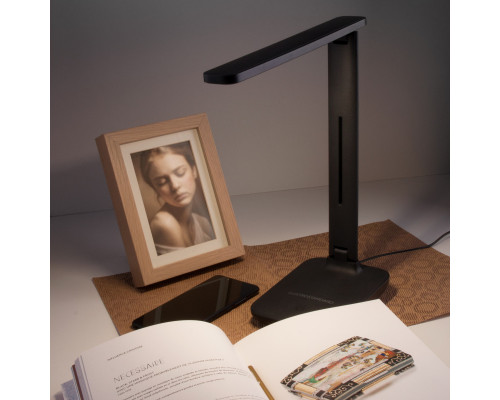 Сделать заказ Настольная лампа Elektrostandard Pele черный (TL80960)| VIVID-LIGHT.RU