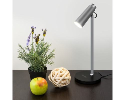 Купить Настольная лампа Elektrostandard Joel серебро/хром (TL70190)| VIVID-LIGHT.RU