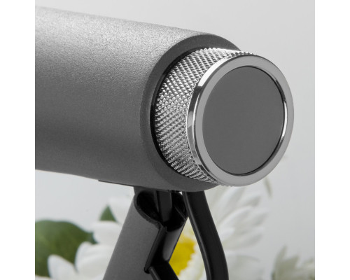 Купить Настольная лампа Elektrostandard Joel серебро/хром (TL70190)| VIVID-LIGHT.RU