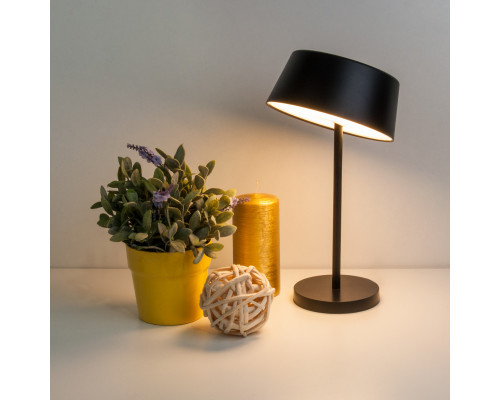 Заказать Настольная лампа Eurosvet 80424/1 черный| VIVID-LIGHT.RU