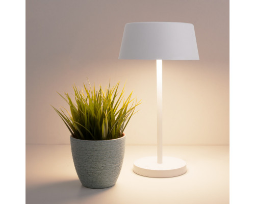 Сделать заказ Настольная лампа Eurosvet 80424/1 белый| VIVID-LIGHT.RU