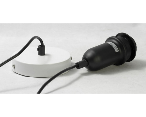 Заказать Подвесной светильник LOFT LSP-9848| VIVID-LIGHT.RU