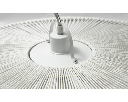 Сделать заказ Подвесной светильник LOFT LSP-9850| VIVID-LIGHT.RU