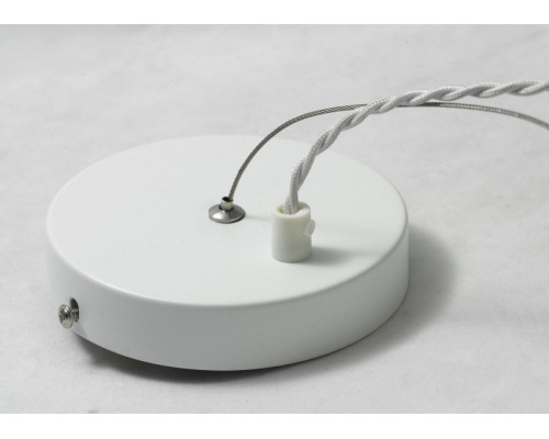 Сделать заказ Подвесной светильник LOFT LSP-9850| VIVID-LIGHT.RU