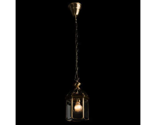 Купить Подвесной светильник ARTE Lamp A6501SP-1AB| VIVID-LIGHT.RU
