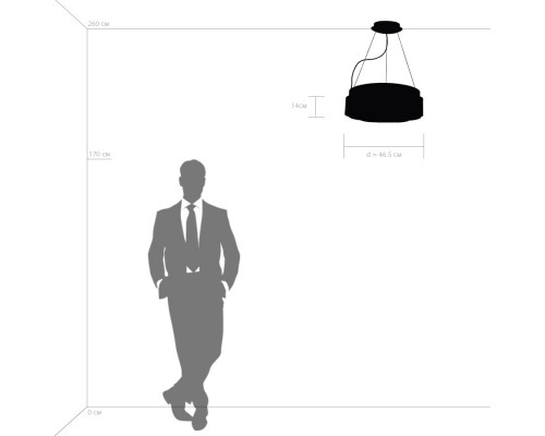 Заказать Подвесной светильник Lightstar 812126| VIVID-LIGHT.RU