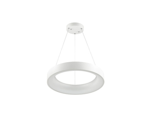 Сделать заказ Подвесной светильник Odeon Light 4066/50L| VIVID-LIGHT.RU