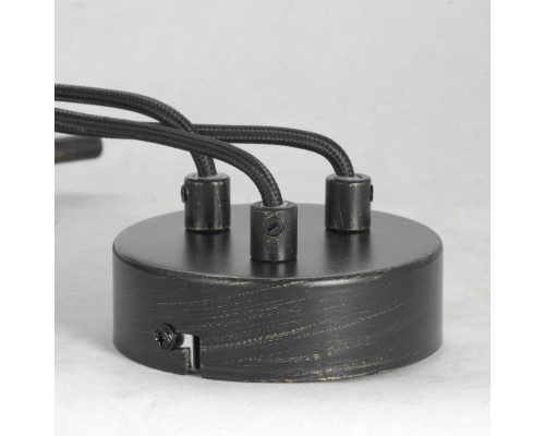 Оформить заказ Подвесной светильник LOFT LSP-8255| VIVID-LIGHT.RU