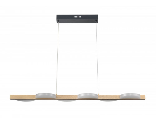 Сделать заказ Подвесной светильник Vele Luce VL7194P06| VIVID-LIGHT.RU