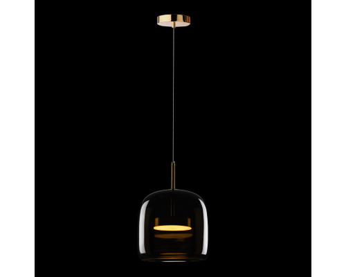 Сделать заказ Подвесной светильник LOFT IT 10040A| VIVID-LIGHT.RU