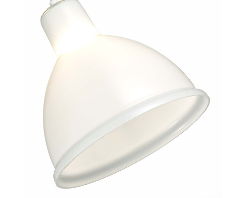 Оформить заказ Подвесной светильник Evoluce SLE114703-01| VIVID-LIGHT.RU