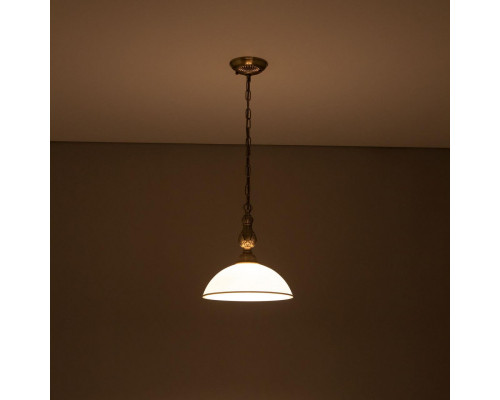 Сделать заказ Подвесной светильник Citilux CL405213| VIVID-LIGHT.RU